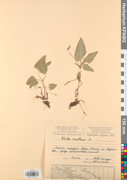 KPABG031712