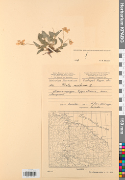 KPABG031713