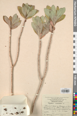 KPABG031923