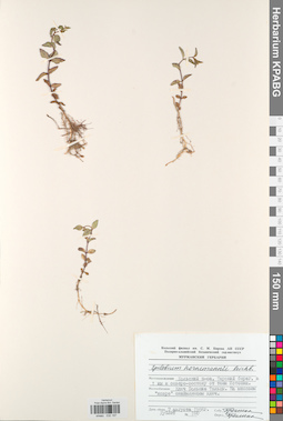 KPABG032197