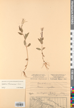 KPABG032201