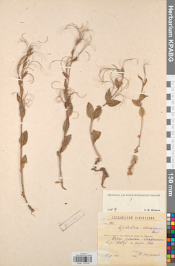 KPABG032230