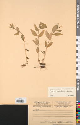 KPABG032255