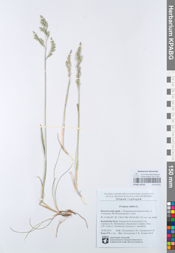 KPABG105165
