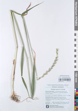 KPABG105174