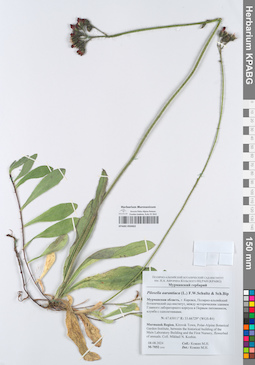 KPABG050463