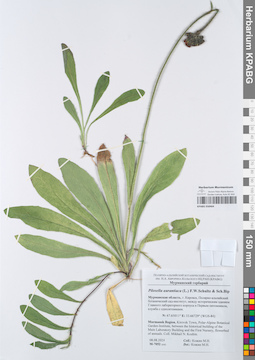 KPABG050464