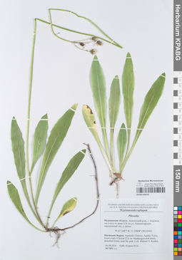 KPABG050470