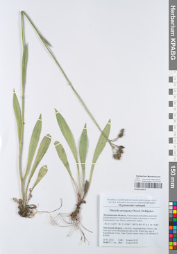 KPABG050471