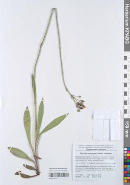 KPABG050472