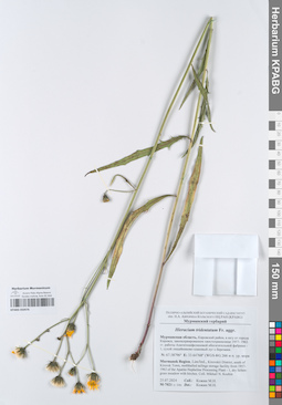 KPABG050476
