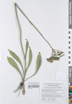 KPABG050484