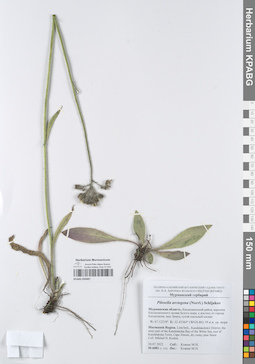 KPABG050487