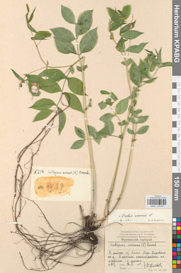 KPABG030822