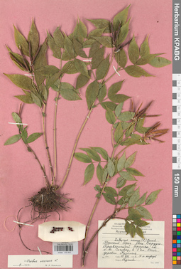KPABG030830