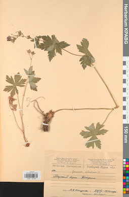 KPABG030884