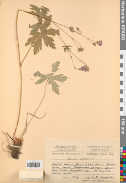 KPABG030949