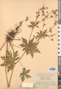 KPABG030951