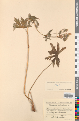 KPABG030958