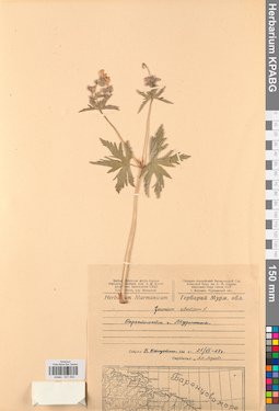 KPABG031002