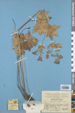 KPABG031014