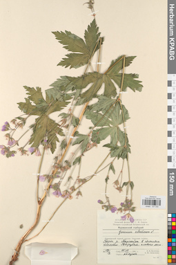 KPABG031030