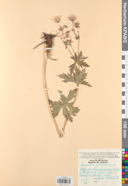 KPABG031107