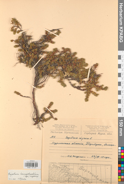 KPABG031275