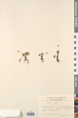 KPABG031403