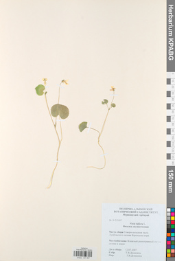 KPABG031407