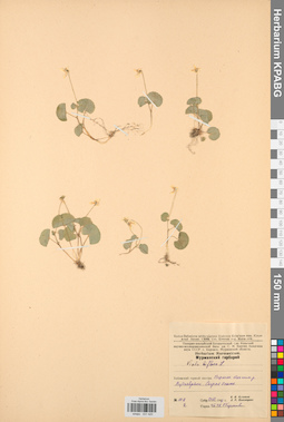 KPABG031420