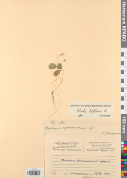 KPABG031423