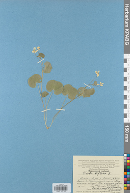 KPABG031425