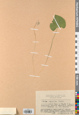 KPABG031453