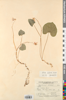 KPABG031457