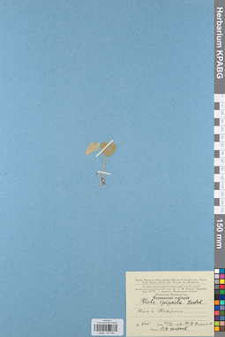 KPABG031592