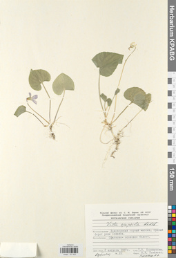 KPABG031620
