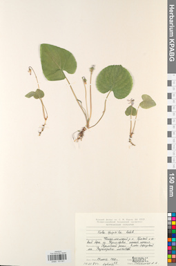 KPABG031621