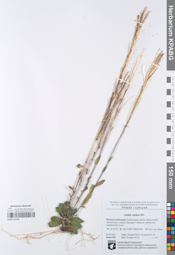 KPABG102306