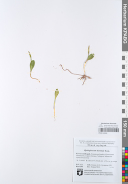 KPABG102342