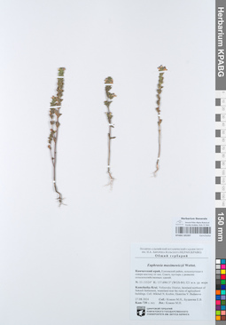KPABG105397