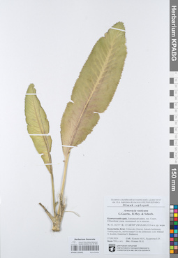 KPABG105642
