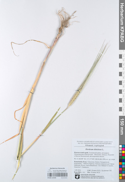 KPABG105490