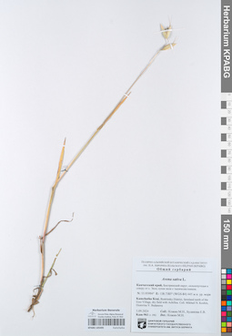KPABG105495