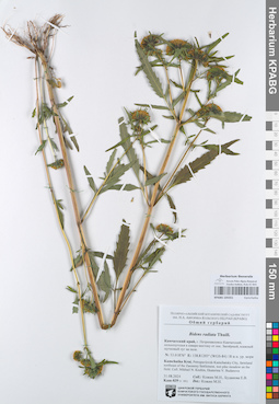 KPABG105551
