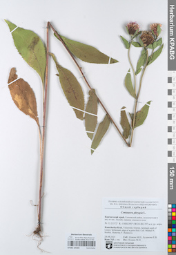 KPABG105583