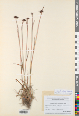 KPABG004892