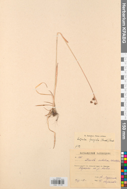 KPABG012406