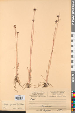 KPABG012413