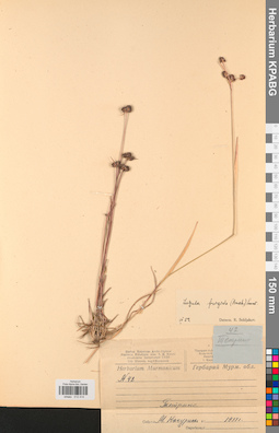 KPABG012414